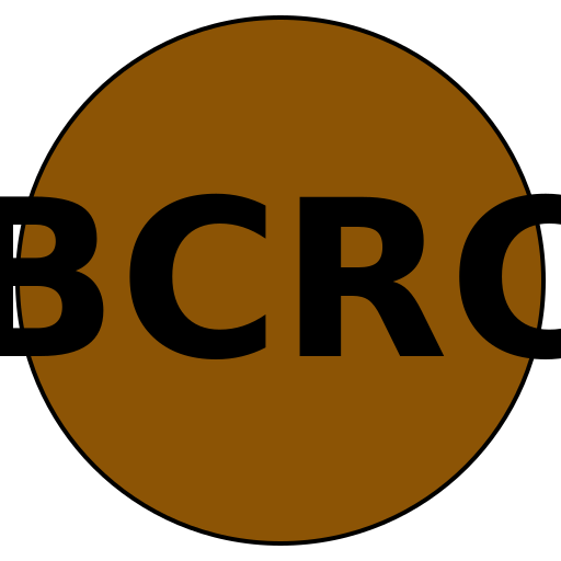 BlueChip Run Co.